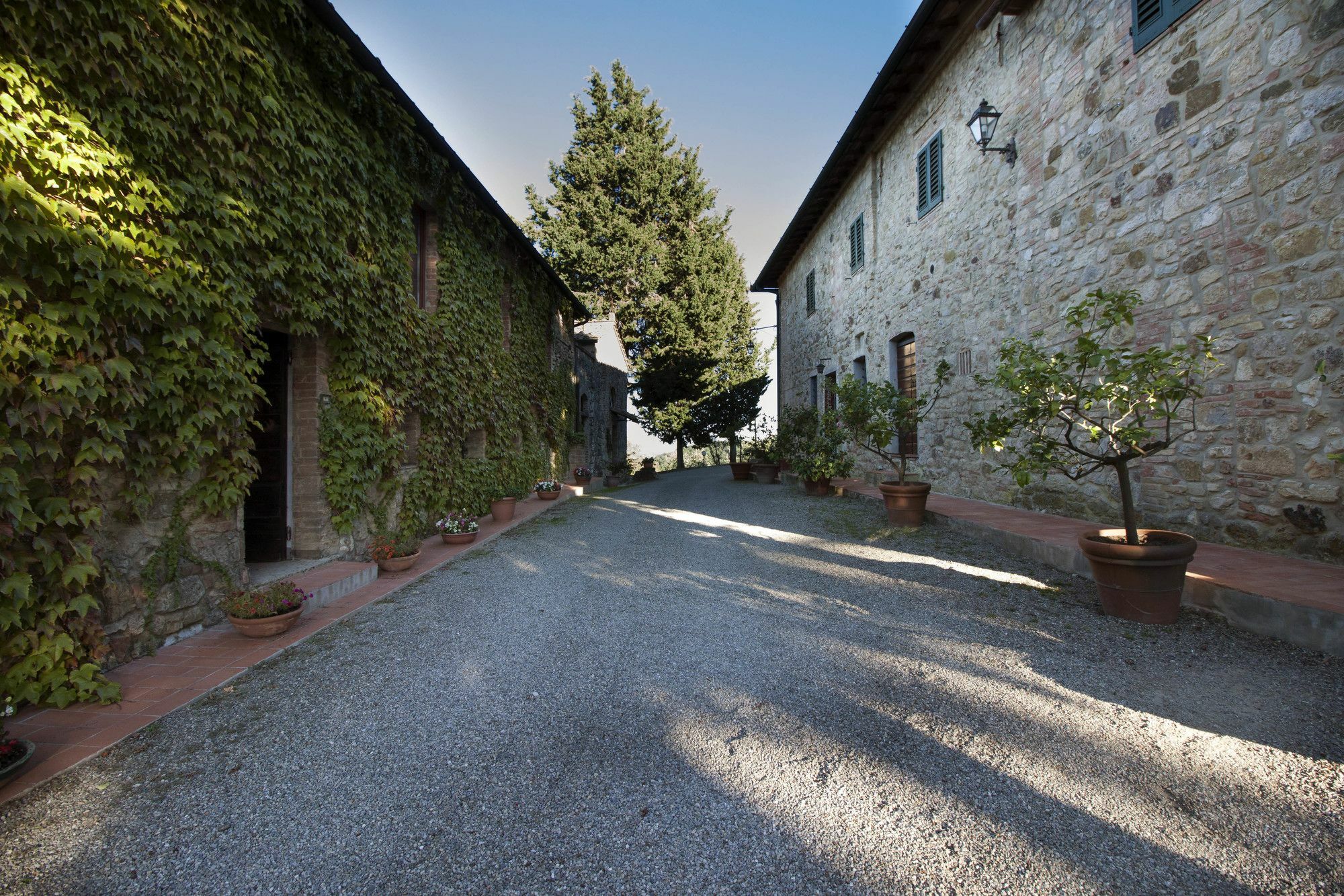 B&B La Torre - Fattoria Di Larniano San Gimignano Exterior foto